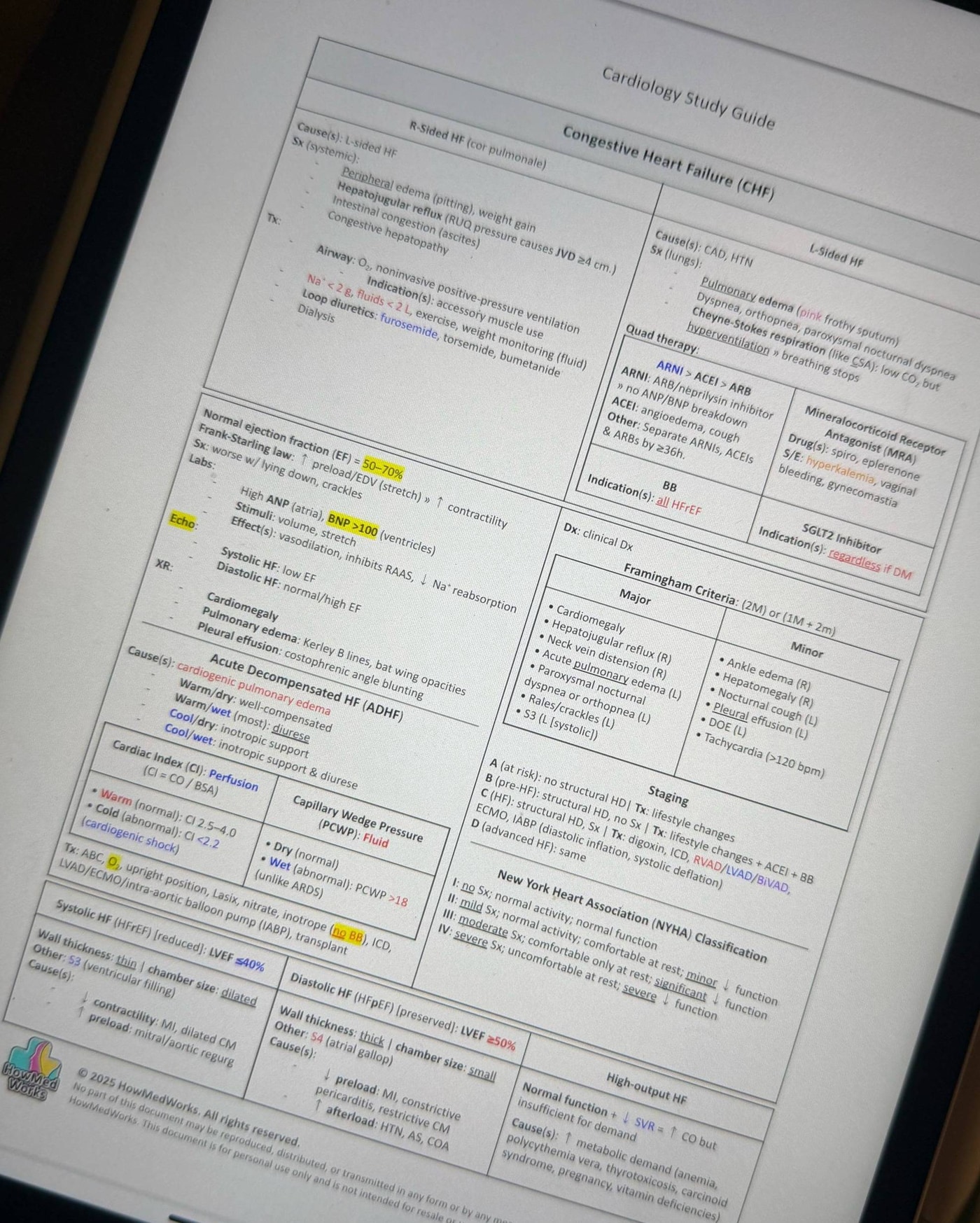 Cardiology Study Guide
