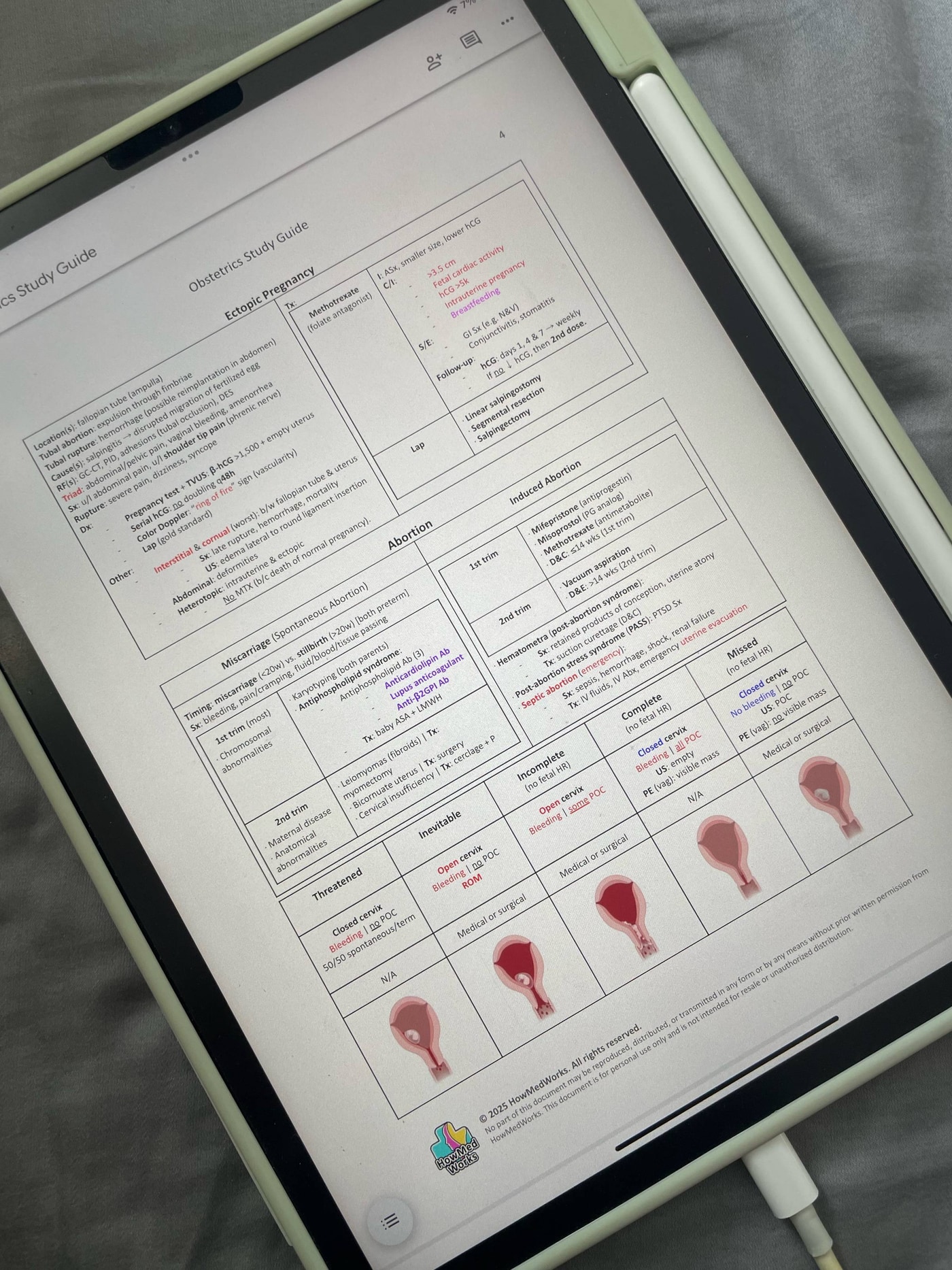 Obstetrics Study Guide